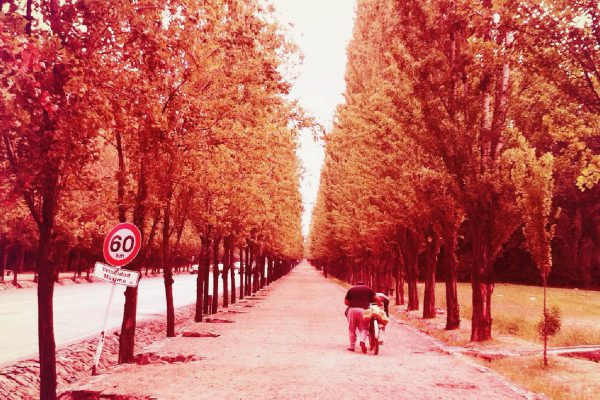 mendoza_06-01